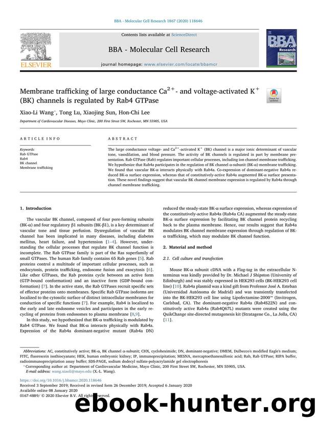 Membrane trafficking of large conductance Ca2+- and voltage-activated K+ (BK) channels is regulated by Rab4 GTPase by Xiao-Li Wang & Tong Lu & Xiaojing Sun & Hon-Chi Lee