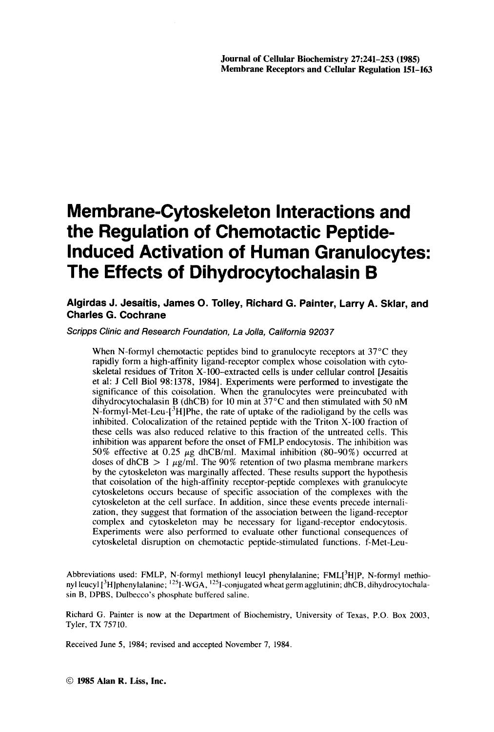 Membrane-cytoskeleton interactions and the regulation of chemotactic peptide-induced activation of human granulocytes: The effects of dihydrocytochalasin B by Unknown