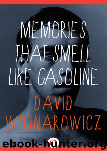Memories That Smell Like Gasoline by David Wojnarowicz