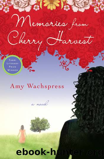 Memories from Cherry Harvest by Amy Wachspress