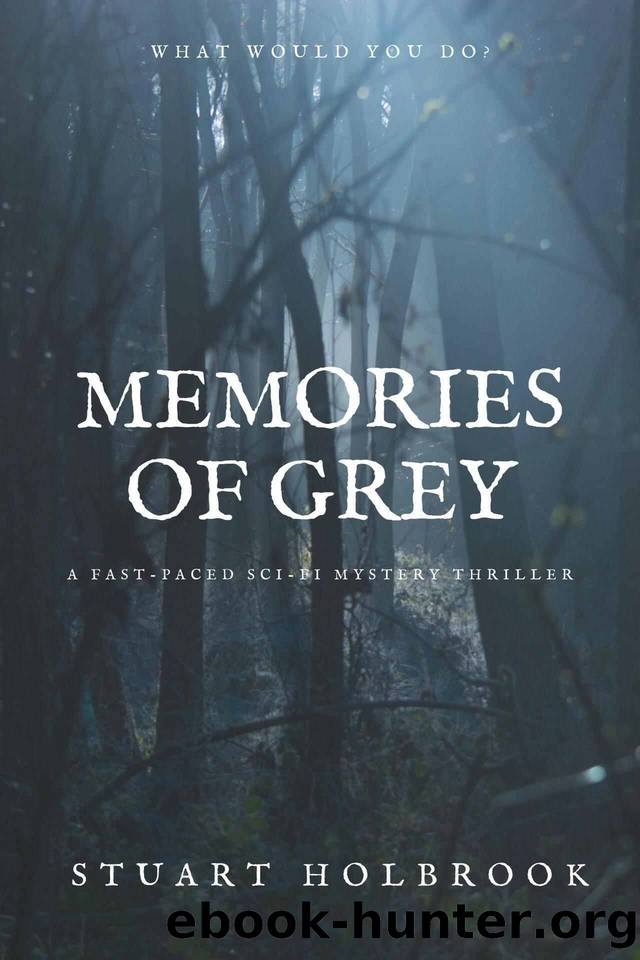 Memories of Grey by Stuart Holbrook