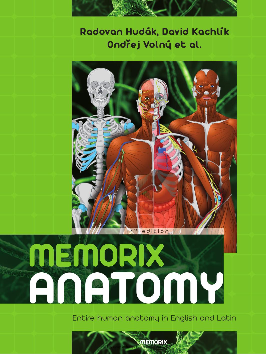 Memorix anatomy by Ciszek Bogdan; Hudák Radovan; Kachlík David; Volný Ondřej