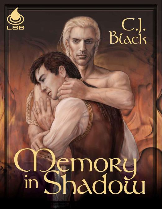 Memory In Shadow (Sequel to Illusion of Night) by Black C.J