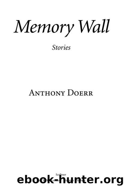 Memory Wall by Doerr Anthony