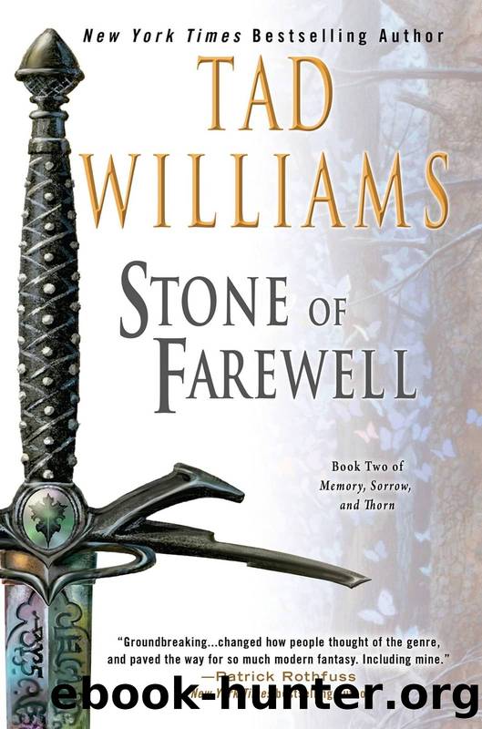 Memory, Sorrow, and Thorn 02 - The Stone of Farewell by Tad Williams