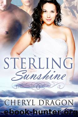Men of Alaska 2: Sterling Sunshine by Cheryl Dragon
