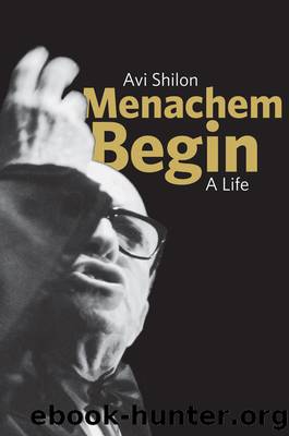 Menachem Begin by Shilon Avi