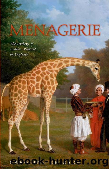 Menagerie by Grigson Caroline;