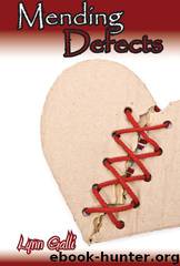 Mending Defects by Lynn Galli