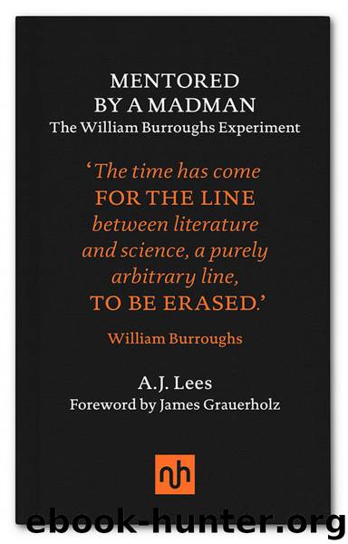 Mentored by a Madman by A.J. Lees