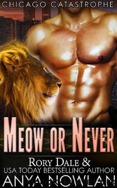 Meow Or Never: BBW SEAL Shifter Surprise Pregnancy Romance (Chicago Catastrophe) by Anya Nowlan & Rory Dale