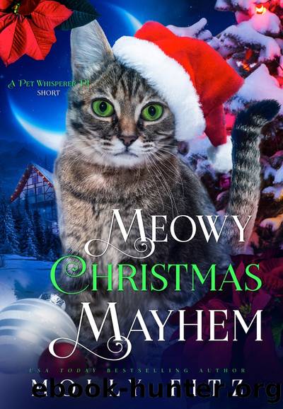 Meowy Christmas Mayhem by Molly Fitz