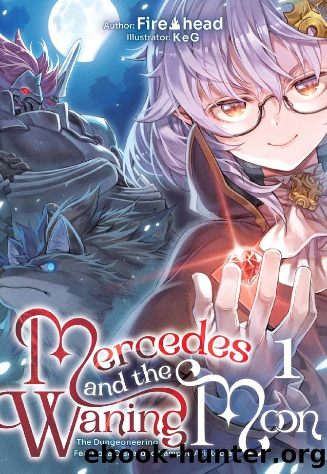 Mercedes and the Waning Moon: The Dungeoneering Feats of a Discarded Vampire Aristocrat Volume 1 by Fire head