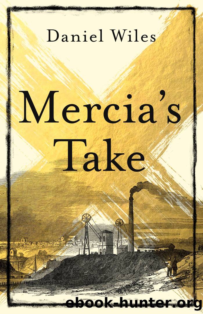 Mercia's Take by Daniel Wiles