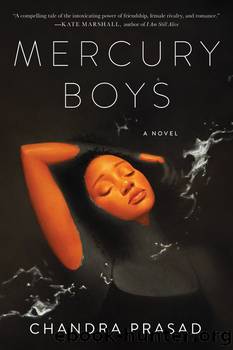 Mercury Boys by Chandra Prasad