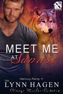 Mercury Rising 11 - Meet Me at Sunrise by Lynn Hagen