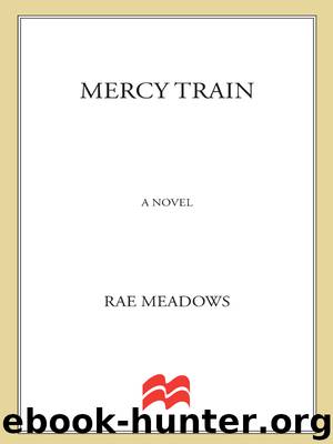 Mercy Train by Rae Meadows