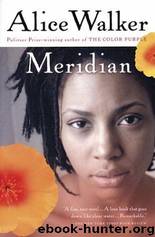 Meridian by Alice Walker