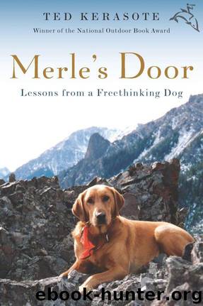 Merle's Door: Lessons From a Freethinking Dog by Kerasote Ted