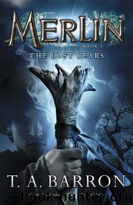 the lost years of merlin books the lost years of merlin books