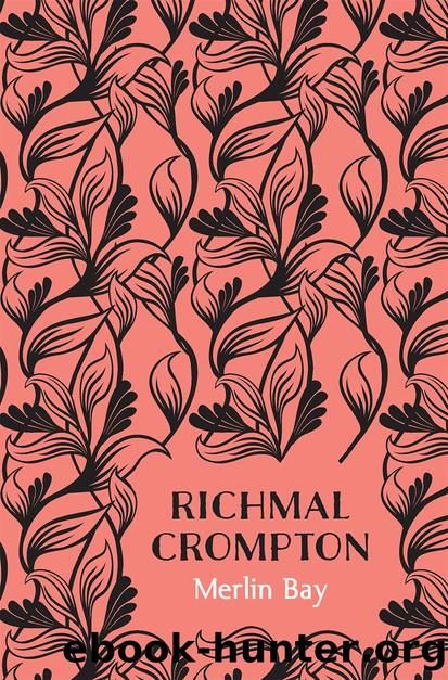 Merlin Bay by Richmal Crompton