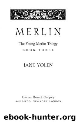 Merlin by Jane Yolen