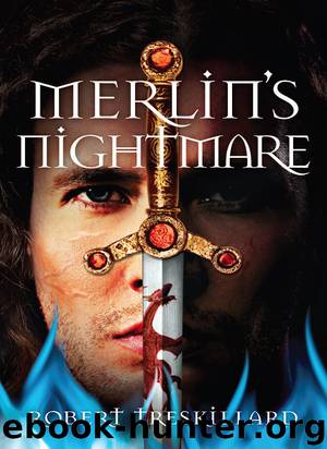 Merlin's Nightmare by Robert Treskillard