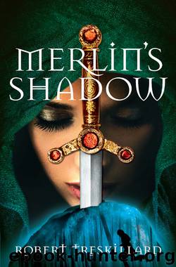 Merlin's Shadow by Robert Treskillard