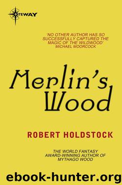 Merlin's Wood (Mythago Wood) by Robert Holdstock