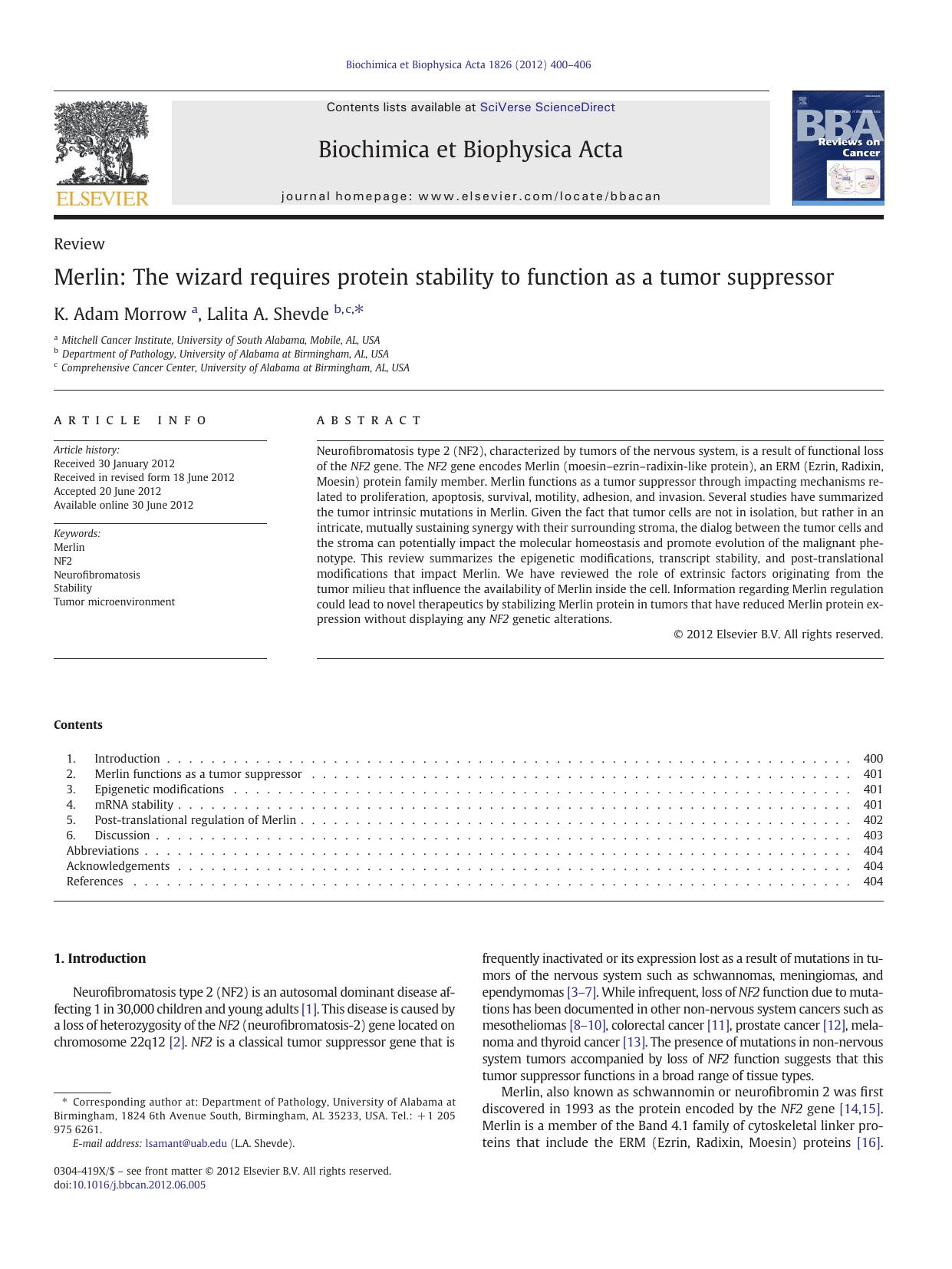 Merlin: The wizard requires protein stability to function as a tumor suppressor by K. Adam Morrow & Lalita A. Shevde