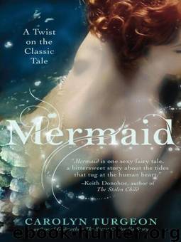 Mermaid: A Twist on the Classic Tale by Carolyn Turgeon