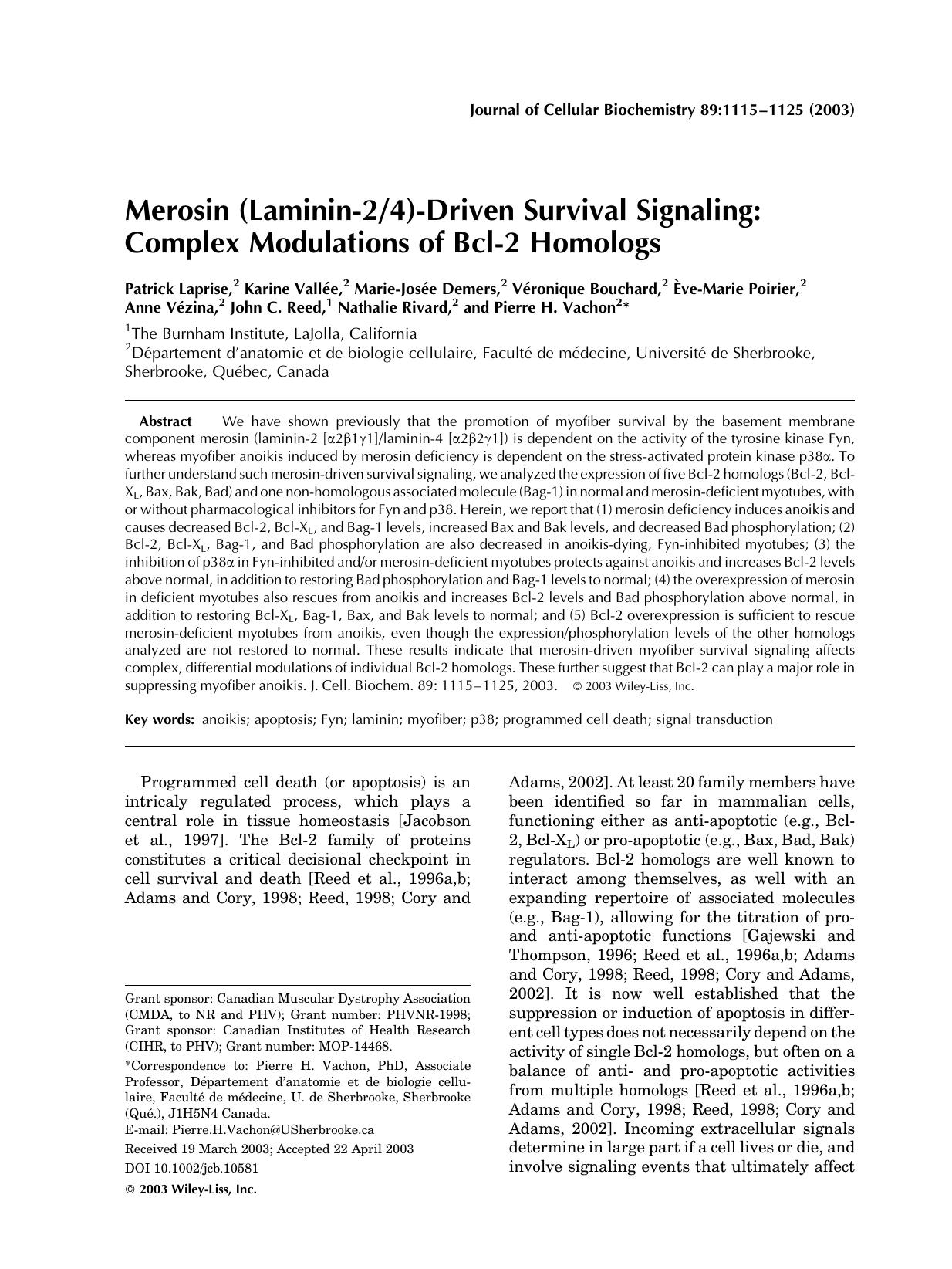 Merosin (laminin-24)-driven survival signaling: Complex modulations of Bcl-2 homologs by Unknown