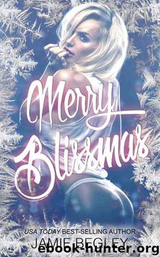 Merry Blissmas by Begley Jamie