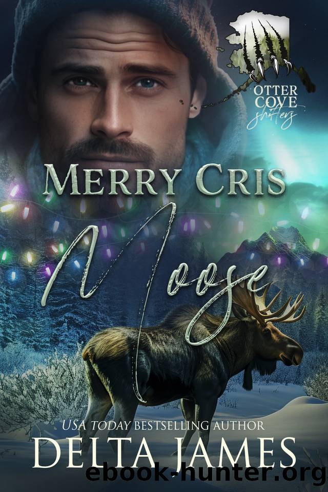 Merry Cris Moose: A Small Town Grumpy Sunshine Shifter Romance by Delta James