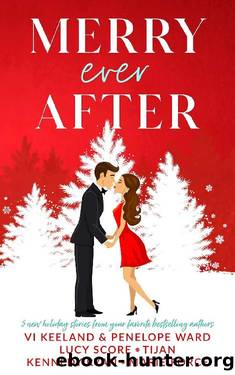 Merry Ever After by Box Set