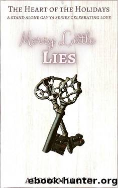 Merry Little Lies by Addison Lloyd