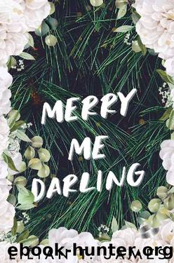 Merry Me Darling: A Short Holiday Novella (Meet Me Halfway Series) by Lilian T. James