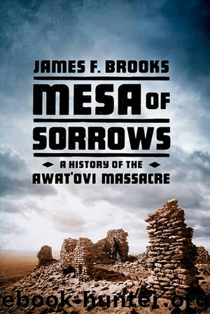Mesa of Sorrows by James F. Brooks