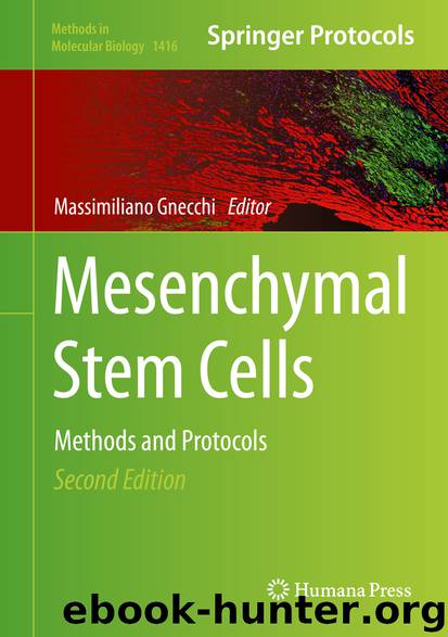 Mesenchymal Stem Cells by Massimiliano Gnecchi