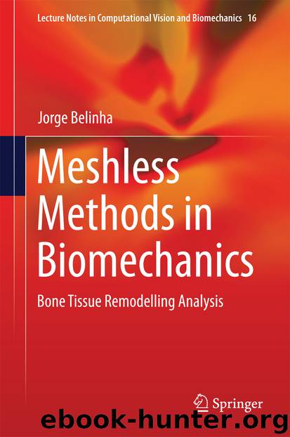 Meshless Methods in Biomechanics by Jorge Belinha