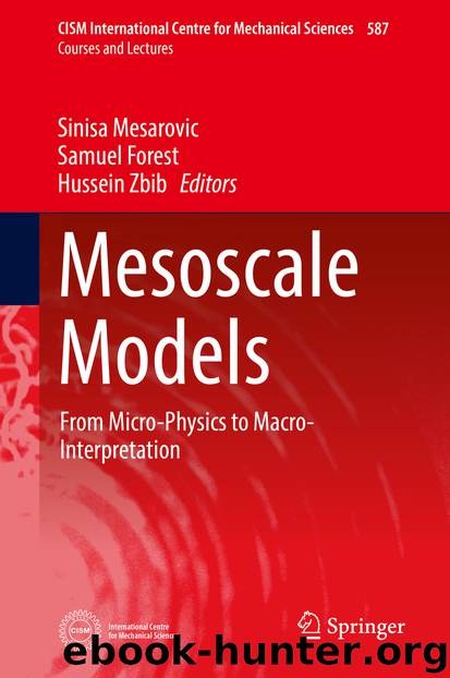 Mesoscale Models by Sinisa Mesarovic & Samuel Forest & Hussein Zbib