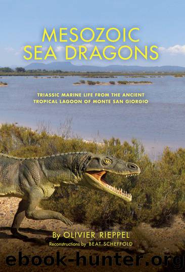 Mesozoic Sea Dragons by Olivier Rieppel