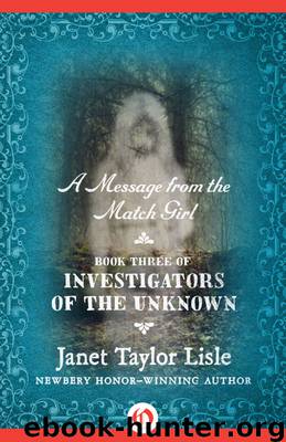 Message from the Match Girl by Janet Taylor Lisle