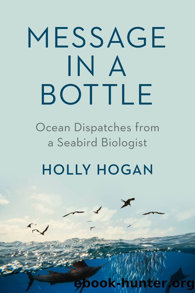 Message in a Bottle by Holly Hogan