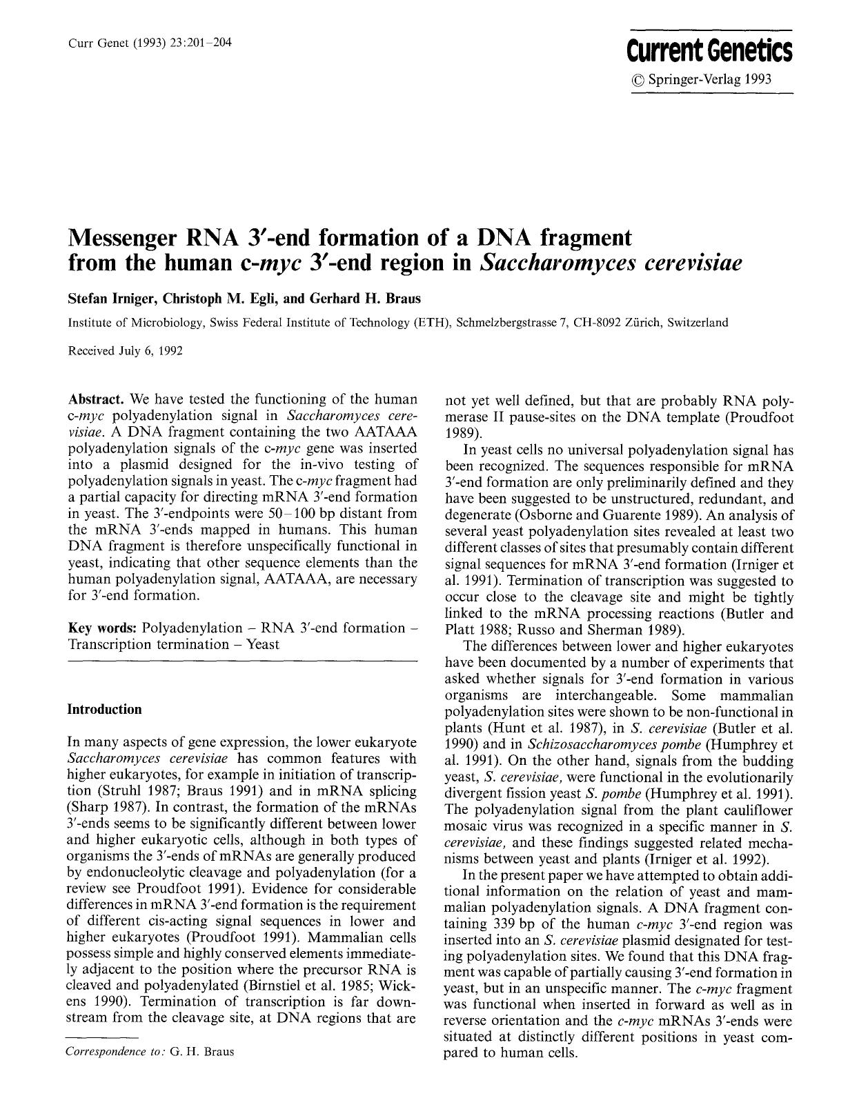 Messenger RNA 3&#x2032;-end formation of a DNA fragment from the human c-<Emphasis Type="Italic">myc<Emphasis> 3&#x2032;-end region in <Emphasis Type="Italic">Saccharomyces cerevisiae<Emphasis> by Unknown