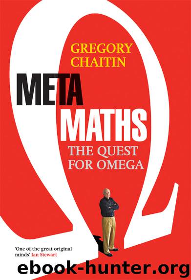 Meta Math! by Gregory Chaitin