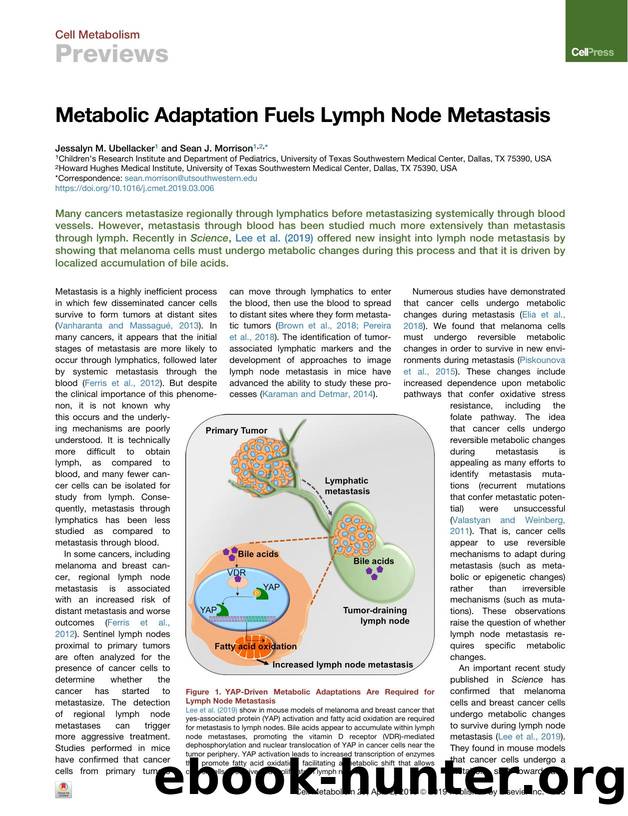 Metabolic Adaptation Fuels Lymph Node Metastasis by Jessalyn M. Ubellacker & Sean J. Morrison