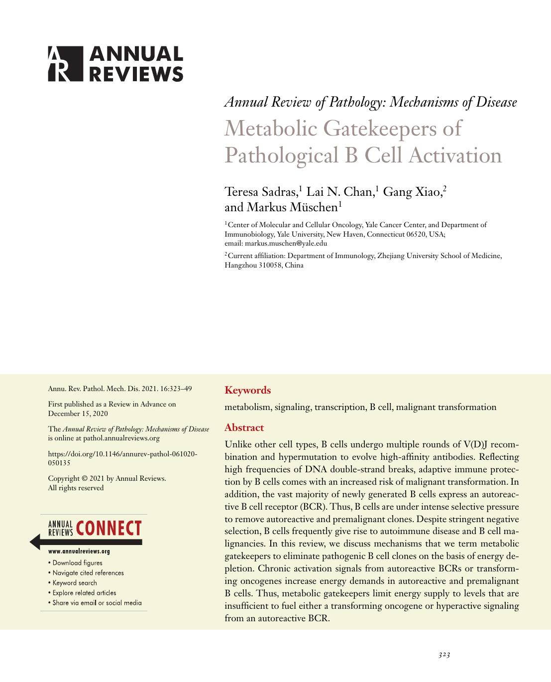 Metabolic Gatekeepers of Pathological B Cell Activation by Teresa Sadras Lai N. Chan Gang Xiao Markus Müschen