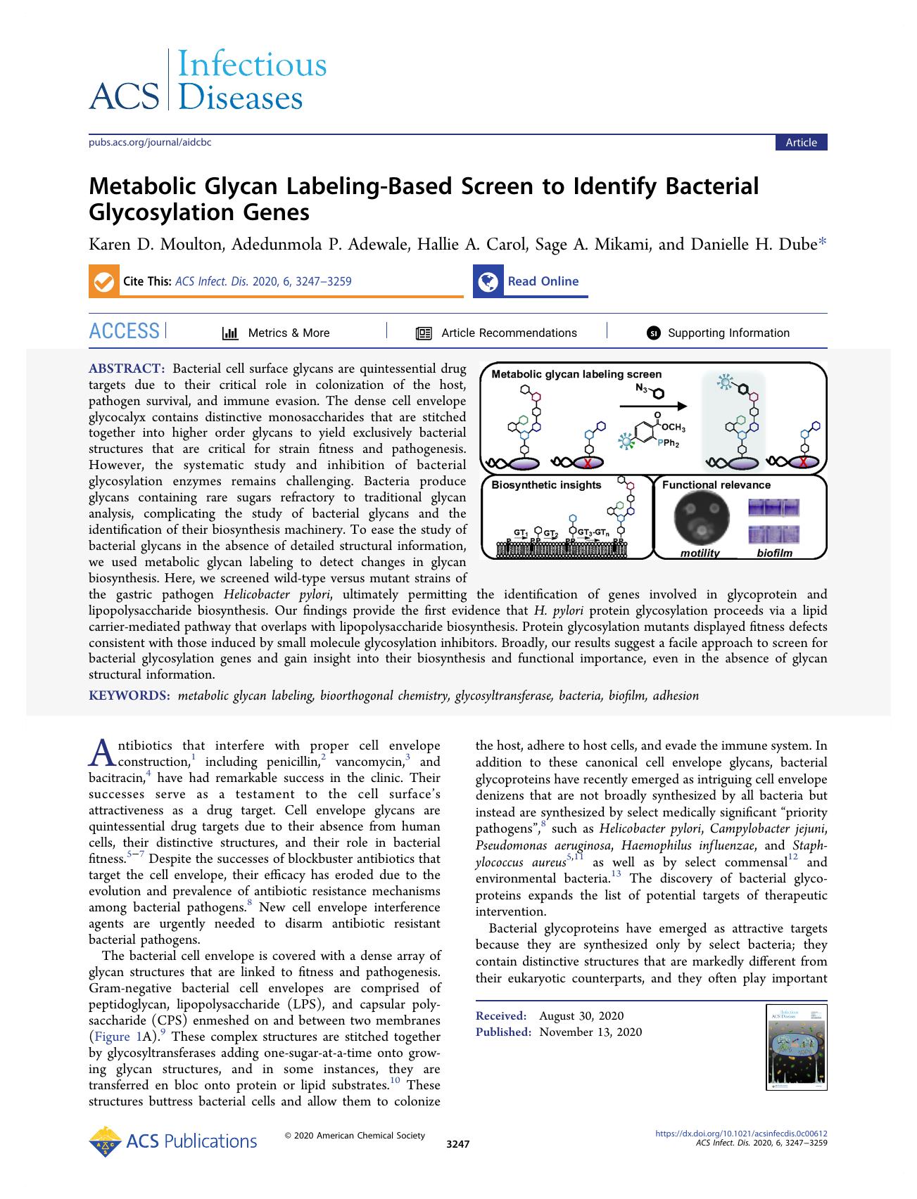Metabolic Glycan Labeling-Based Screen to Identify Bacterial Glycosylation Genes by Karen D. Moulton; Adedunmola P. Adewale; Hallie A. Carol; Sage A. Mikami; Danielle H. Dube