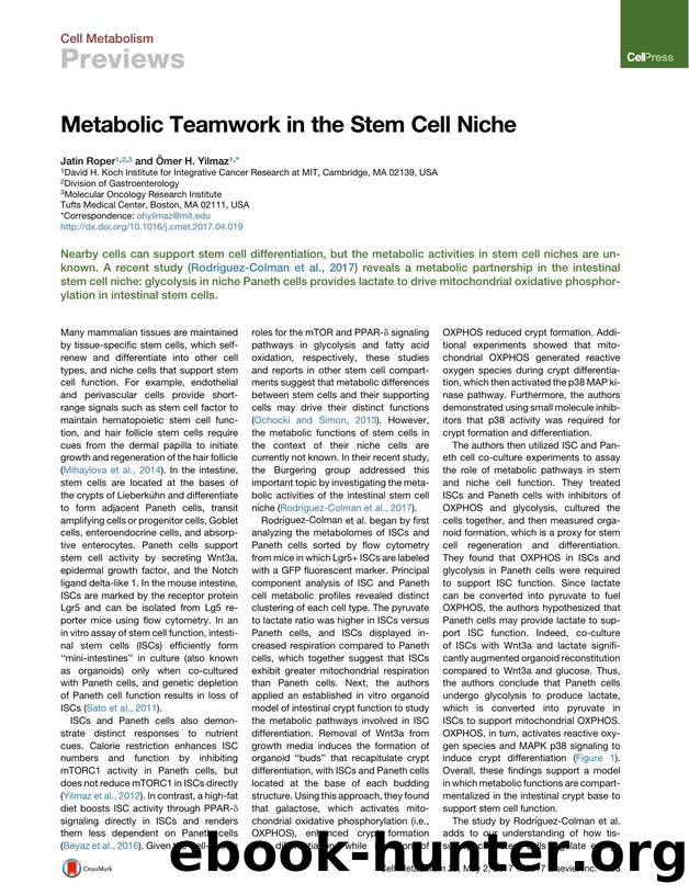 Metabolic Teamwork in the Stem Cell Niche by Jatin Roper & Ömer H. Yilmaz